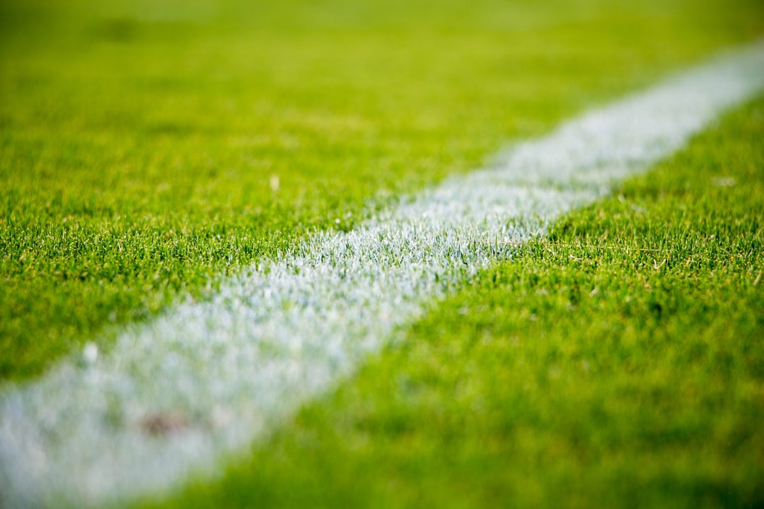 Nederlands voetbal: een sport die een heel land verbindt